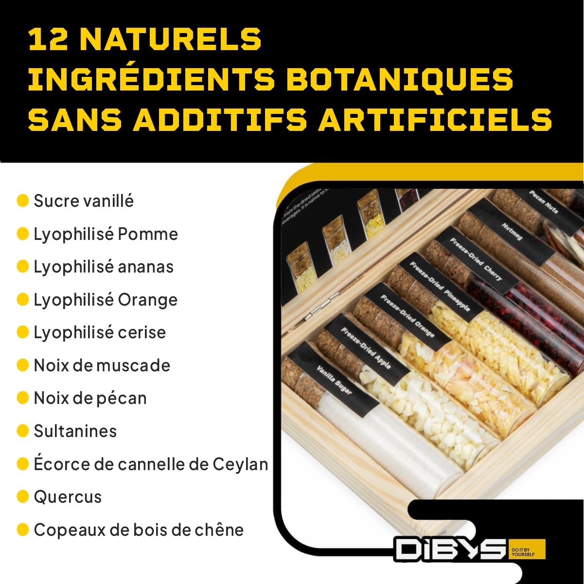 DIBYS Coffret d'Épices pour Rhum Mini | 12 Botanicals pour Coffret Rhum | Avec 4 Cartes de Recettes, Lexique des Épices & Coffret en Bois Élegant | Accessoires pour Faire son Rhum
