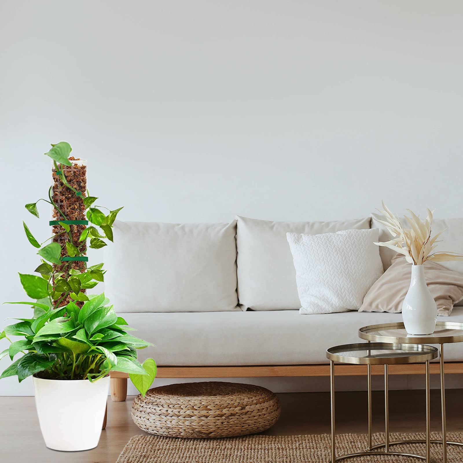 Tuteur Monstera, Tuteur Plante, 6 pcs Aide à l'escalade Monstera, Moss Pole en Plastique, Poteaux de Mousse en Plastique pour Maison Jardin de Support de Plante