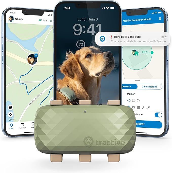 Collier GPS Tractive pour chien XL