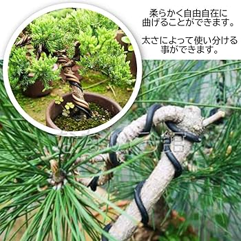 Amazon | （なないろ館）盆栽用 針金 3個セット 各10m 園芸