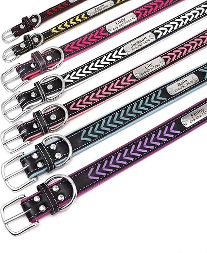 Miniatura 8 de Didog - Collar de cuero para perro con grabado personalizable, para perros pequeños, medianos y grandes, rojo (Red Set)