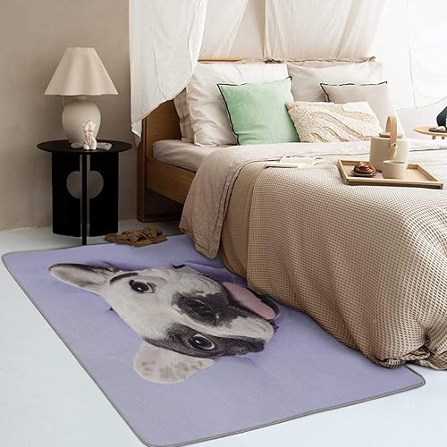 Miniatura 3 de French Bulldog - Alfombra de área de 5 x 7 pies, divertida alfombra lavable para sala de estar, dormitorio, decoración del hogar de cachorros,
