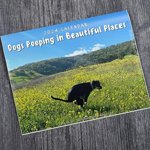 Calendario 2024 de Dogs Pooping In Beautiful Places  Regalo navideño de Navidad con elefante blanco