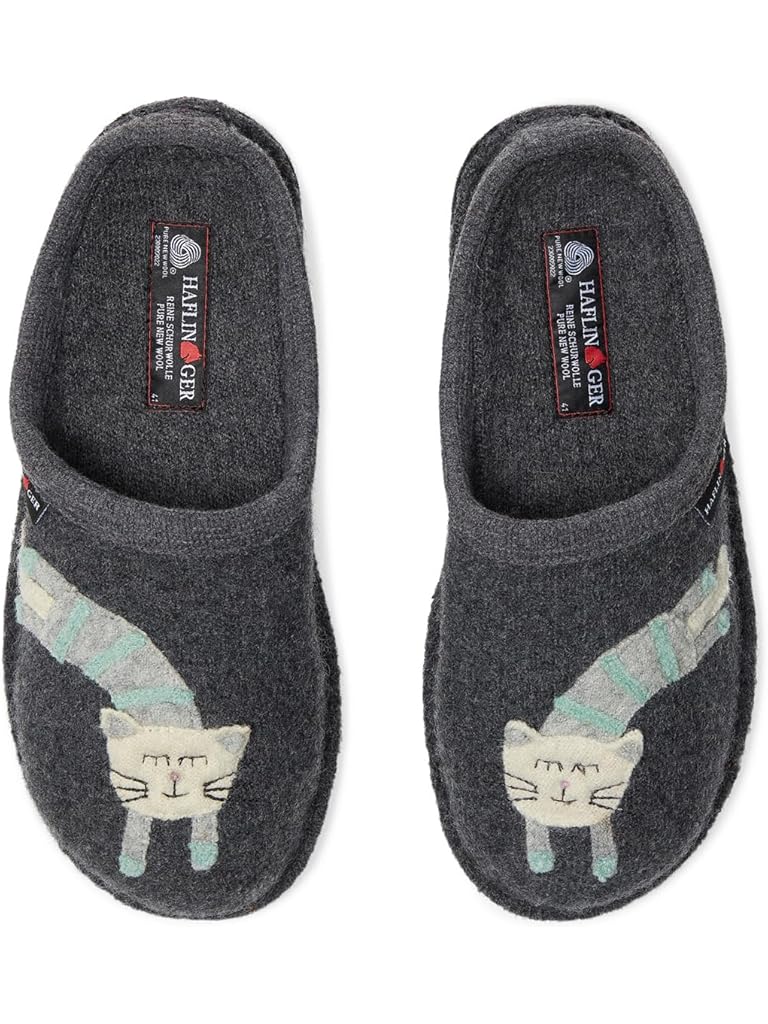 Gray Haflinger Katze