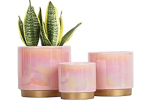 Dreamy Macetas for Your Plant Oasis: Enchanted Ceramic Planters in a Symphony...