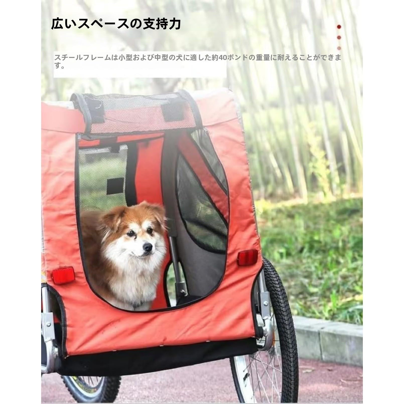 Amazon.co.jp: otoye ペット用 バイクトレーラー 2-in-1 犬用 