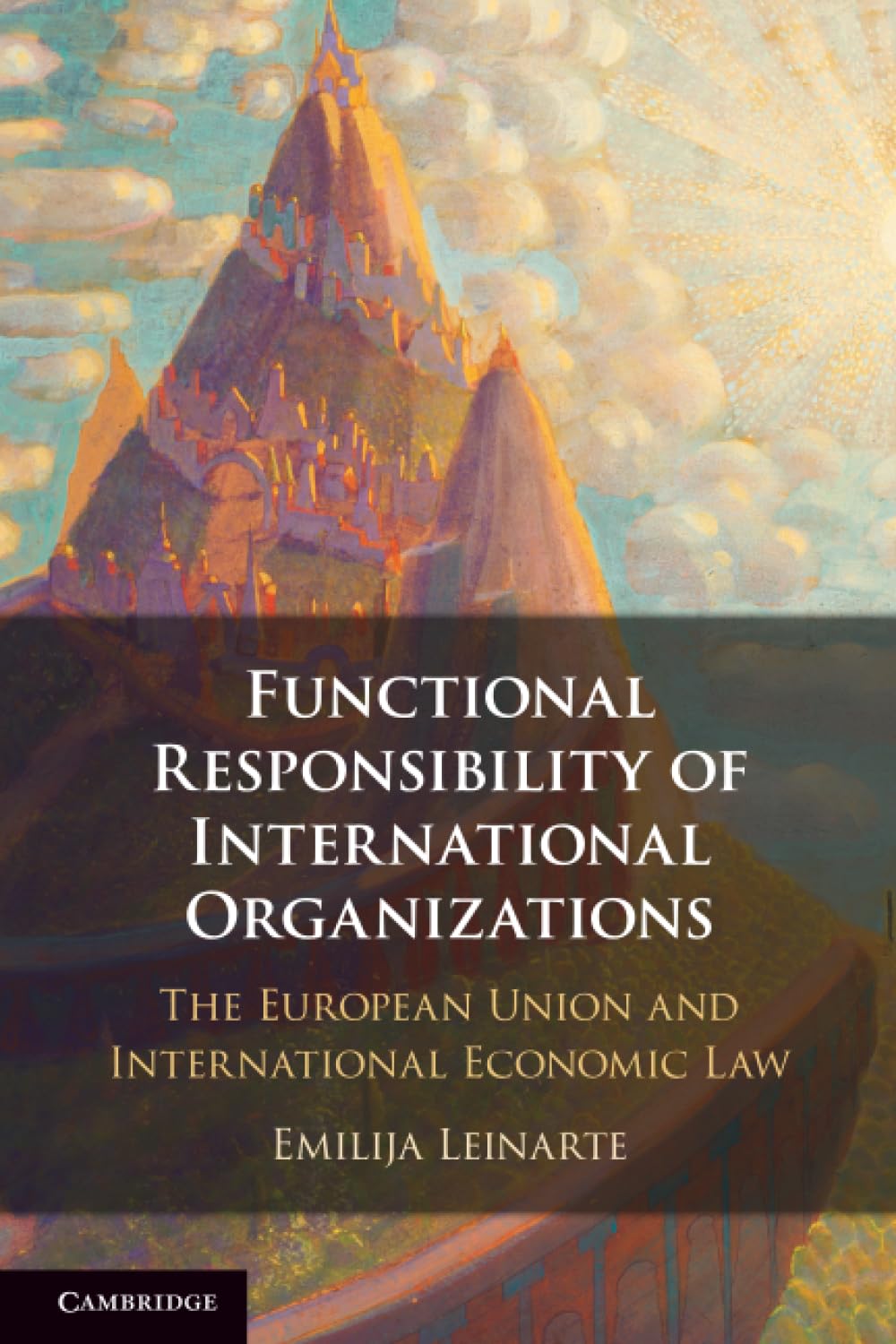 Functional Responsibility of International Organisations: The European Union and International Economic Law