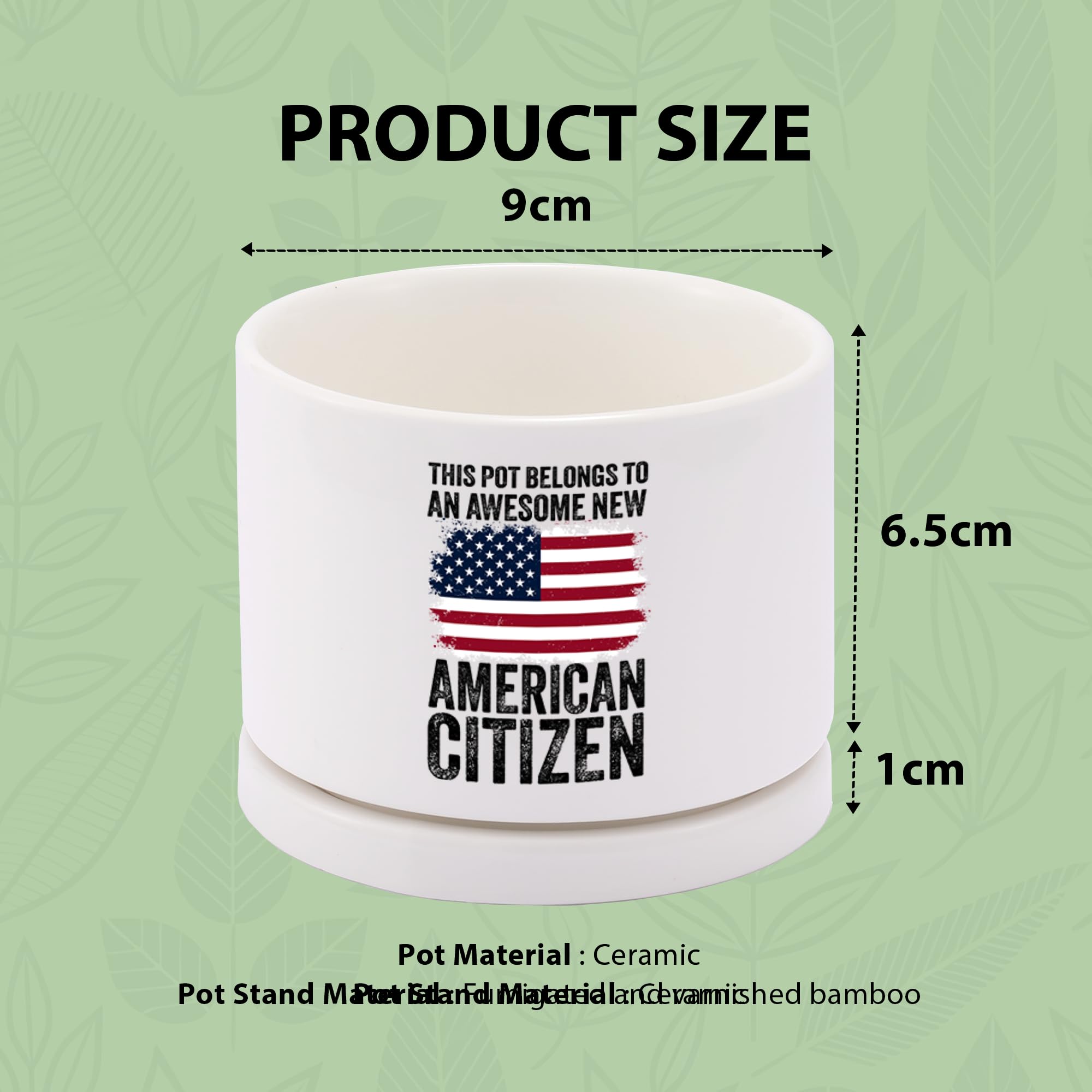 This Pot Belongs to an Awesome New American Citizen Ceramic Succulent Plant Pot with Tray Citizenship Gifts American Flag Plant Lover Gifts Home Decor 3.5 Inch White (No Plants) (With Ceramic Tray)