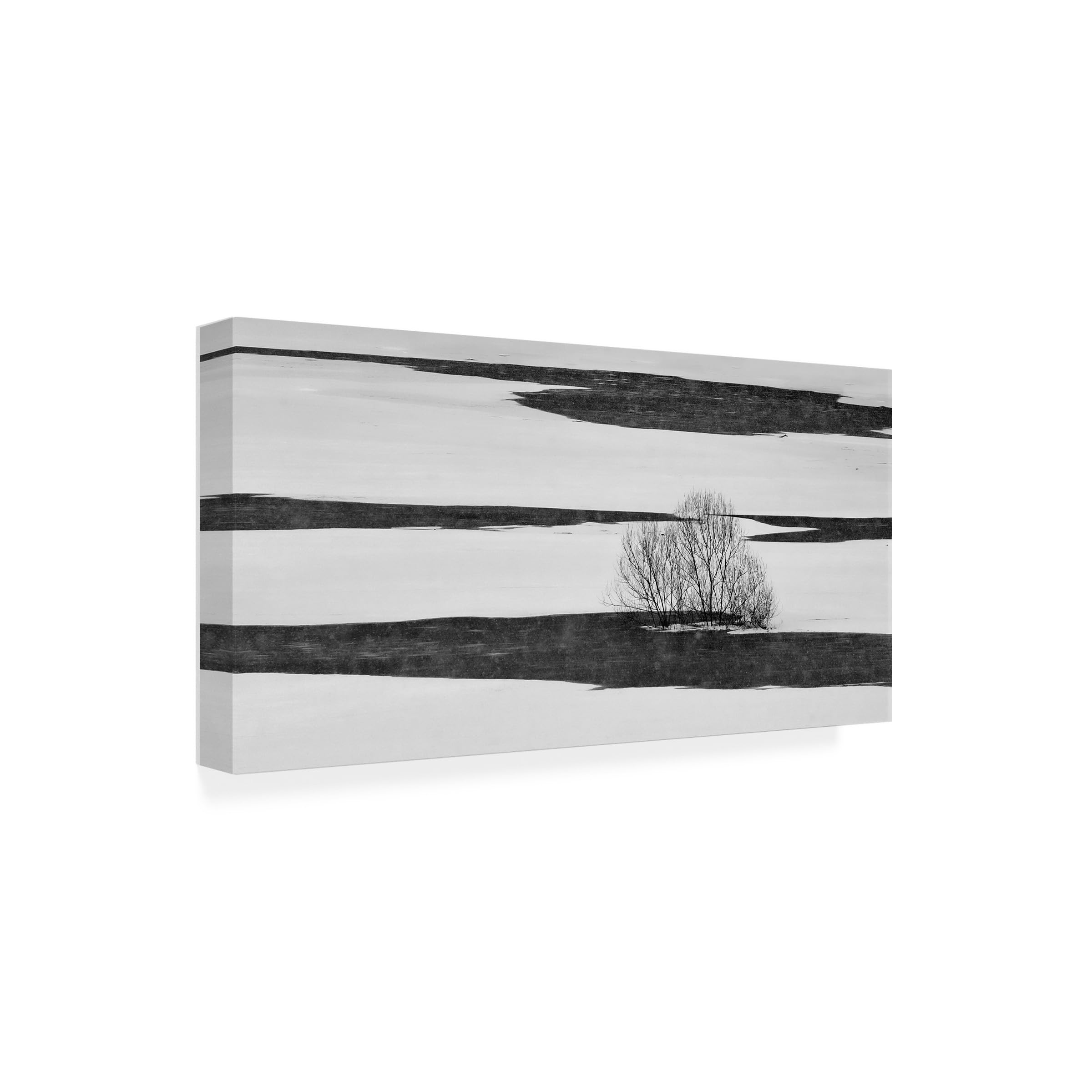 Wrapped Canvas Wall Art - Jure Kravanja 'Black On White' Wall Art for Living Room, Bedroom, or Office Décor - 10x19