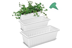 Rectangle Plastic Planter Box