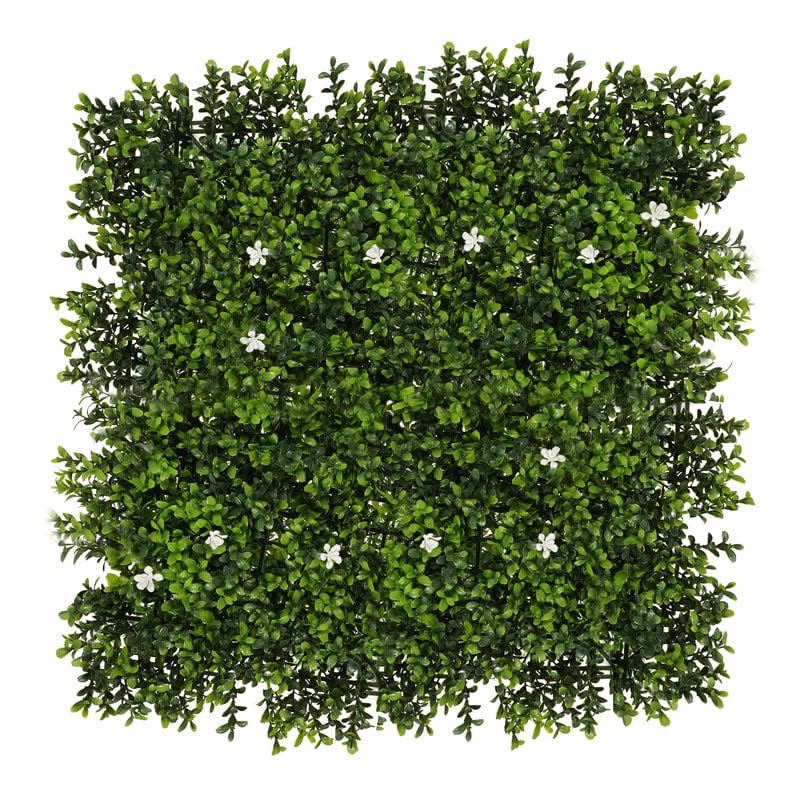 See full amazon price history chart for Golden Cart Plastic Artificial Wall Grass For Home Decoration (14 Pcs) I Grass Mat For Wall I Vertical Garden Artificial Wall Plants (Green & White Design, 50Cm X 50Cm X 5Cm, Pack Of 14) Golden Cart Plastic Artificial Wall Grass For Home Decoration (14 Pcs) I Grass Mat For Wall I Vertical Garden Artificial Wall Plants (Green & White Design, 50Cm X 50Cm X 5Cm, Pack Of 14) (B099QH3LPJ) Amazon Price History, Amazon Price Tracker