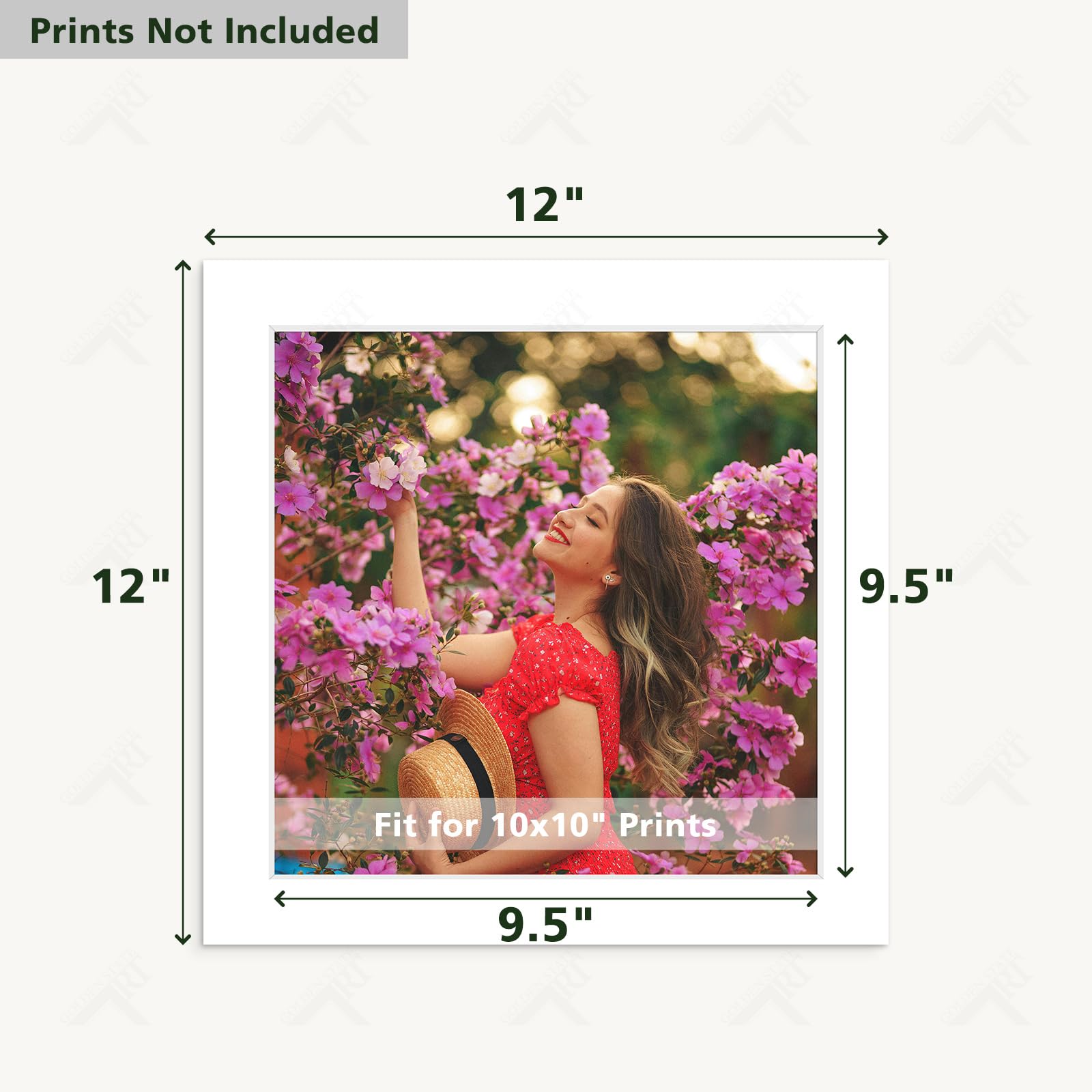Golden State Art, Pack of 10 Acid Free 12x12 for 10x10 White Picture Mats, Bevel Cut White Core Frame Mattes for Photos