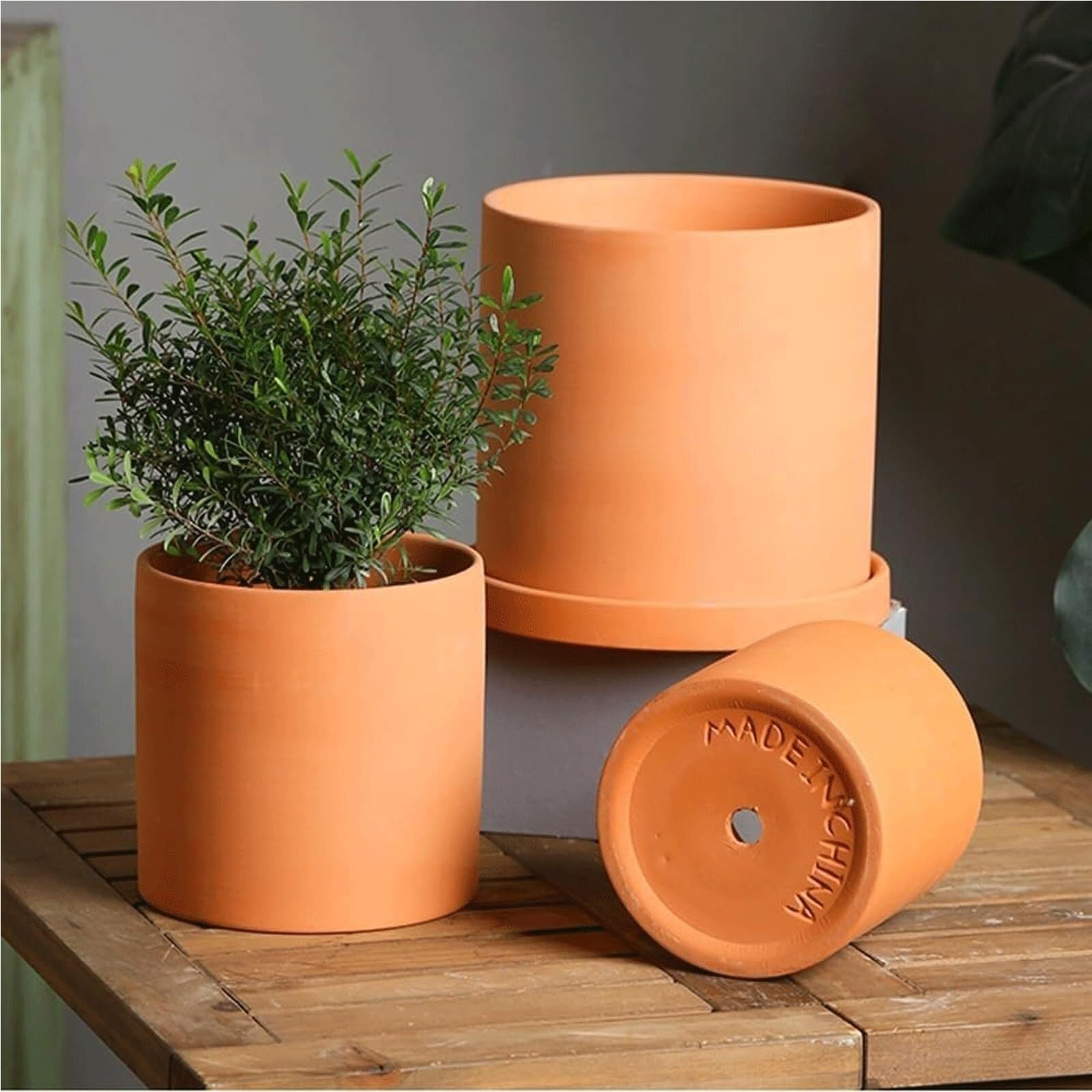 Doniczki na rośliny Doniczki ceramiczne do roślin, stojak na doniczki do storczyków Prezenty dla miłośników roślin(Trays-B)