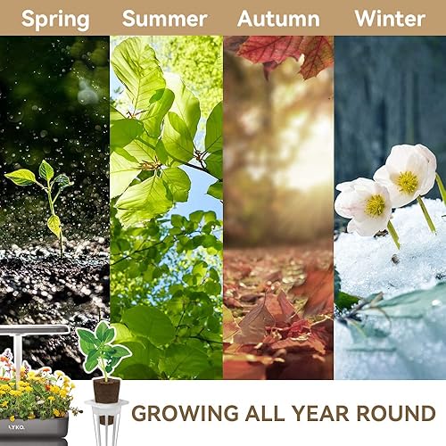 Miniatura 7 de Vibrantes semillas de flores silvestres kit de 3 cápsulas compatibles con el sistema de cultivo hidropónico AeroGarden (más de 350 semillas, incluye