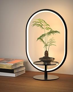 Modern Dimmable Table Lamp with Storage Tray