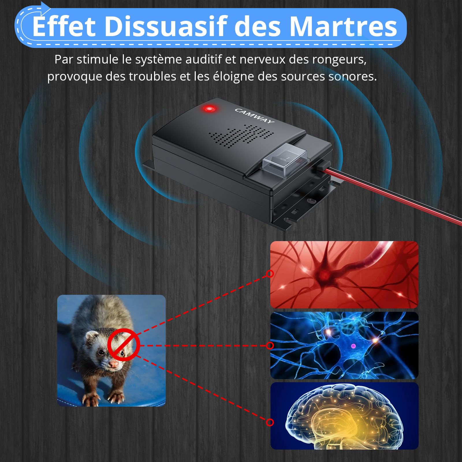 CAMWAY Répulsif Ultrason Souris pour Voiture DC 12V Répulsif Ultrason Rongeur Connexion à La Batterie de Voiture avec Voyants de Travail Nouvelle Version Ligne d'Extension 50cm Nouveau (2)