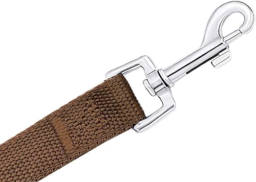 Miniatura 4 de PETGOGO Correas de entrenamiento para perros pequeños y medianos de 15, 20, 30, 40, 50 pies de largo, para perros pequeños y medianos (40 pies,