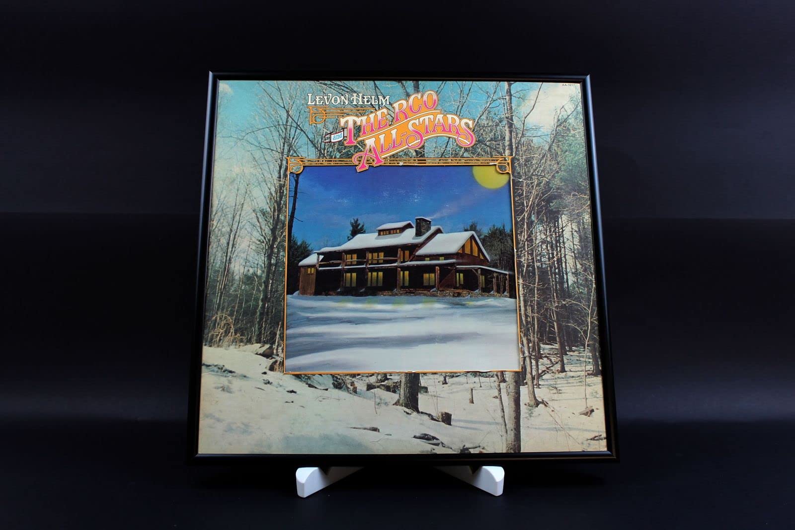 Cornice quadro espositore vetrina da parete per 1 disco LP 33 giri in vinile con copertina (vinile diametro 30 cm) (5)