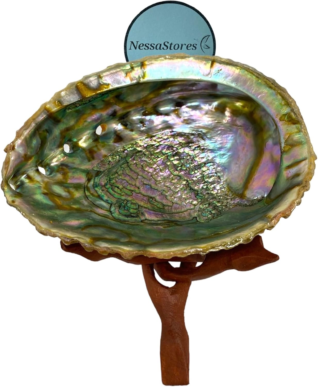 NessaStores 2 pc | Abalone Shell 6"-7" Inches & Tripod Stand 6 Inches | Beautiful All Natural Smudge Bowl - Perfect for Smudge Sticks, Incense Sticks and a Sage Smudge Kit. JC-213-B