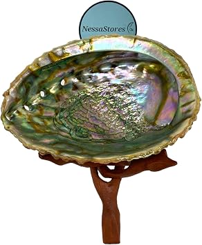 NessaStores 2 pc | Abalone Shell 6"-7" Inches & Tripod Stand 6 Inches | Beautiful All Natural Smudge Bowl - Perfect for Smudge Sticks, Incense Sticks and a Sage Smudge Kit. JC-213-B