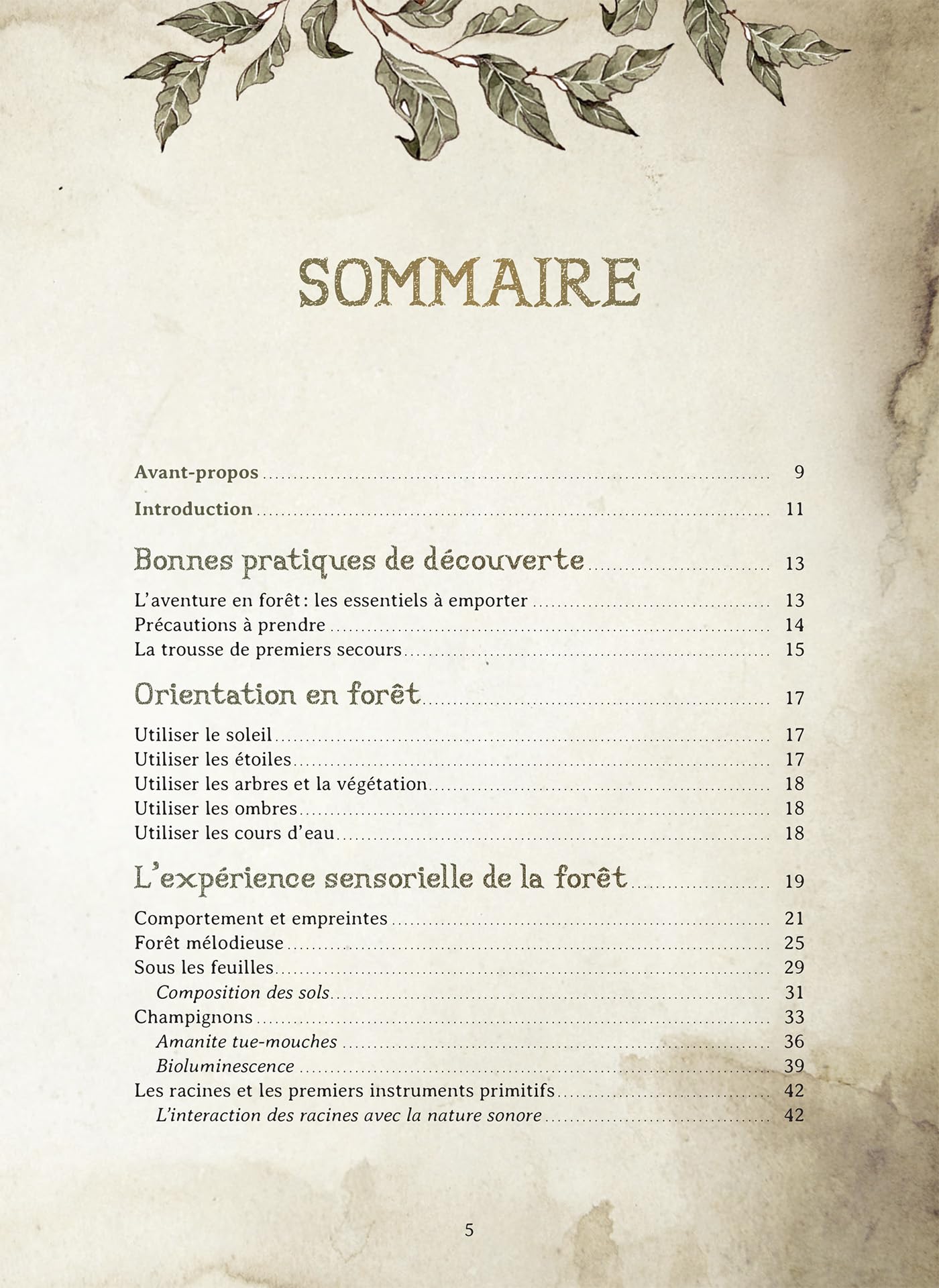 Le Forestarium - Mythes, légendes et explorations au coeur de la forêt