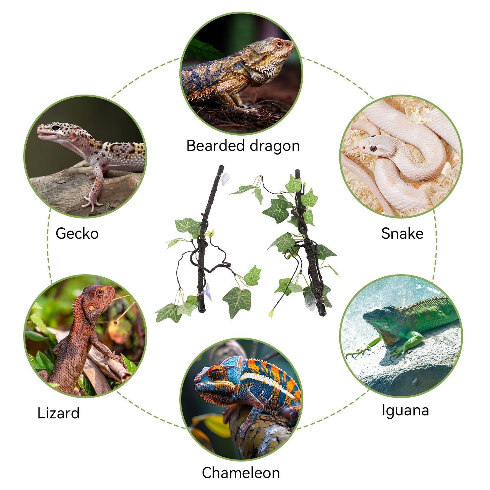 Decoración De Ramas De Reptil, Decoración De Plantas para Terrarios Rama De Esquina 2 Piezas De Enredaderas Rama De Esquina Guirnalda De Plantas con Ventosa para Anfibios, Lagartos, Serpientes