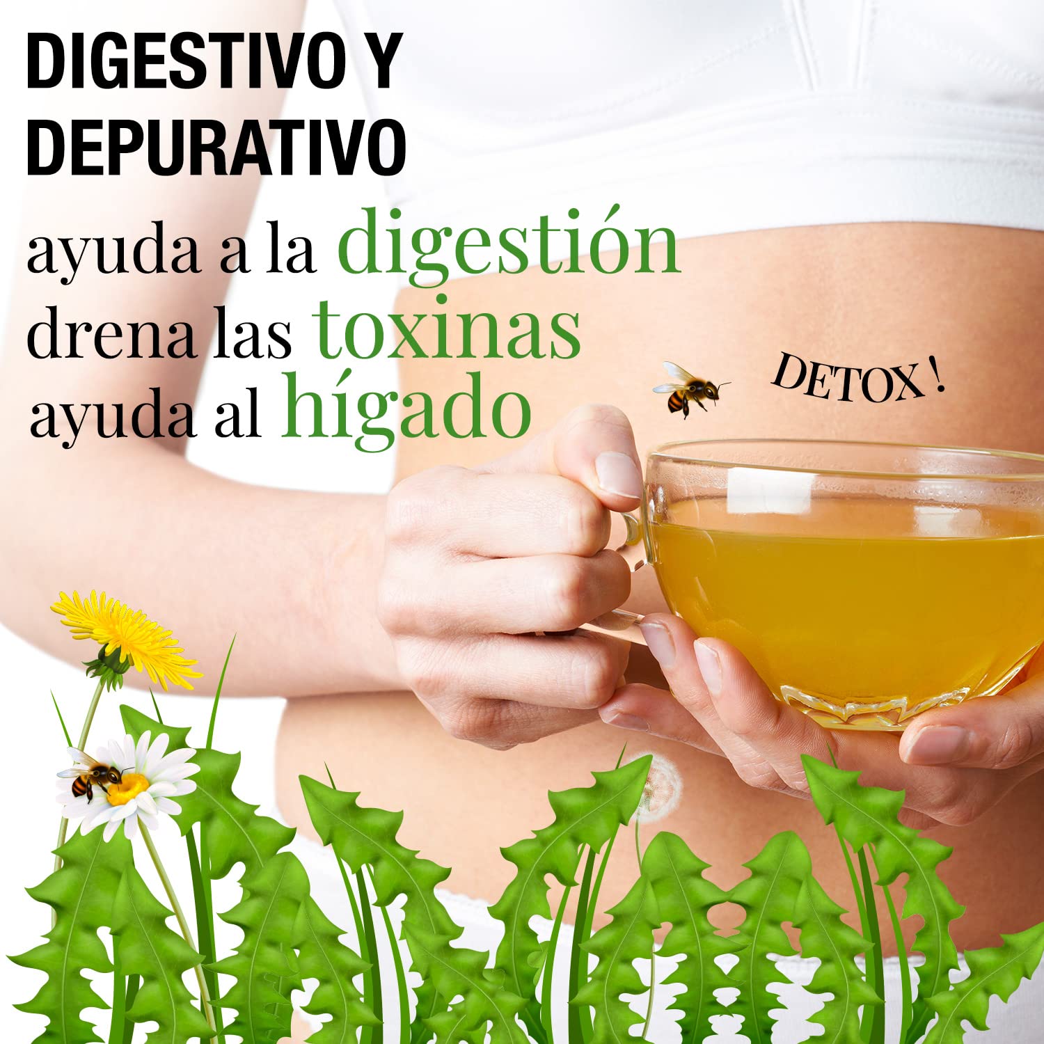 ORIGEENS Bio Diente de Leon Infusion 100g - Hojas de diente de leon secas - ​​Infusion drenante y diurética - Dandelion tea