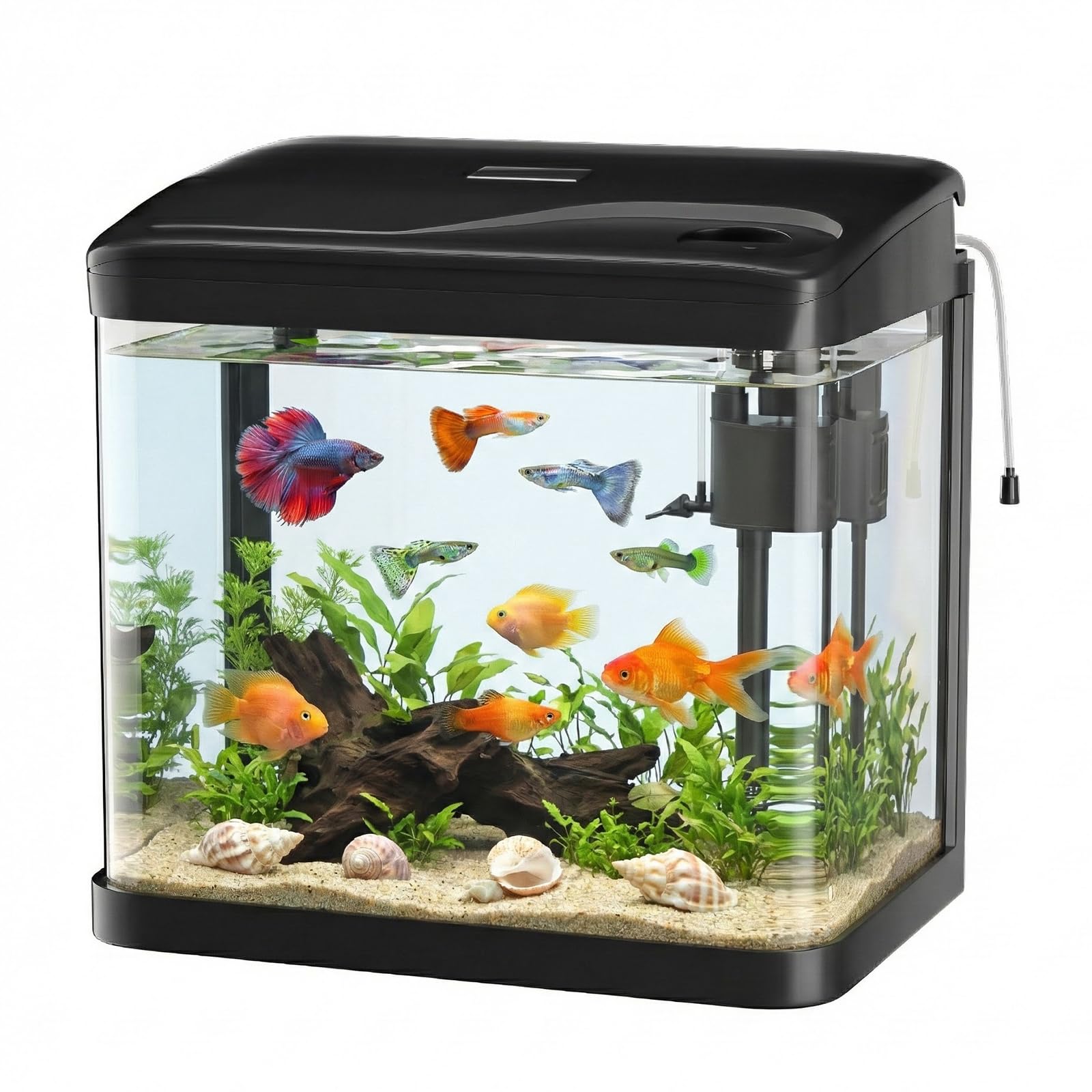 10L Acuario de Cristal Acuarios y Peceras Completas,con Sistema de Filtrado Integrado e Iluminación LED,Acuarios de Iniciación, Negro