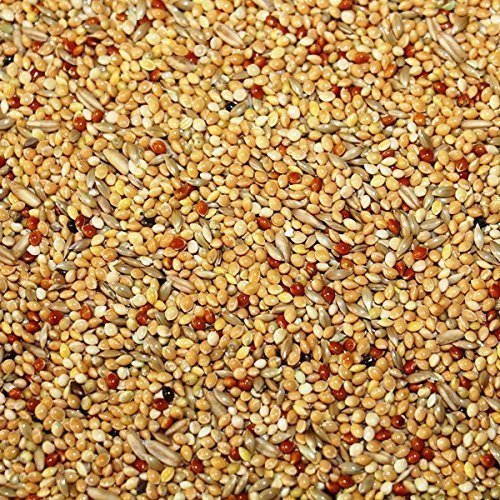 25kg Ruvo Wellensittich Standard