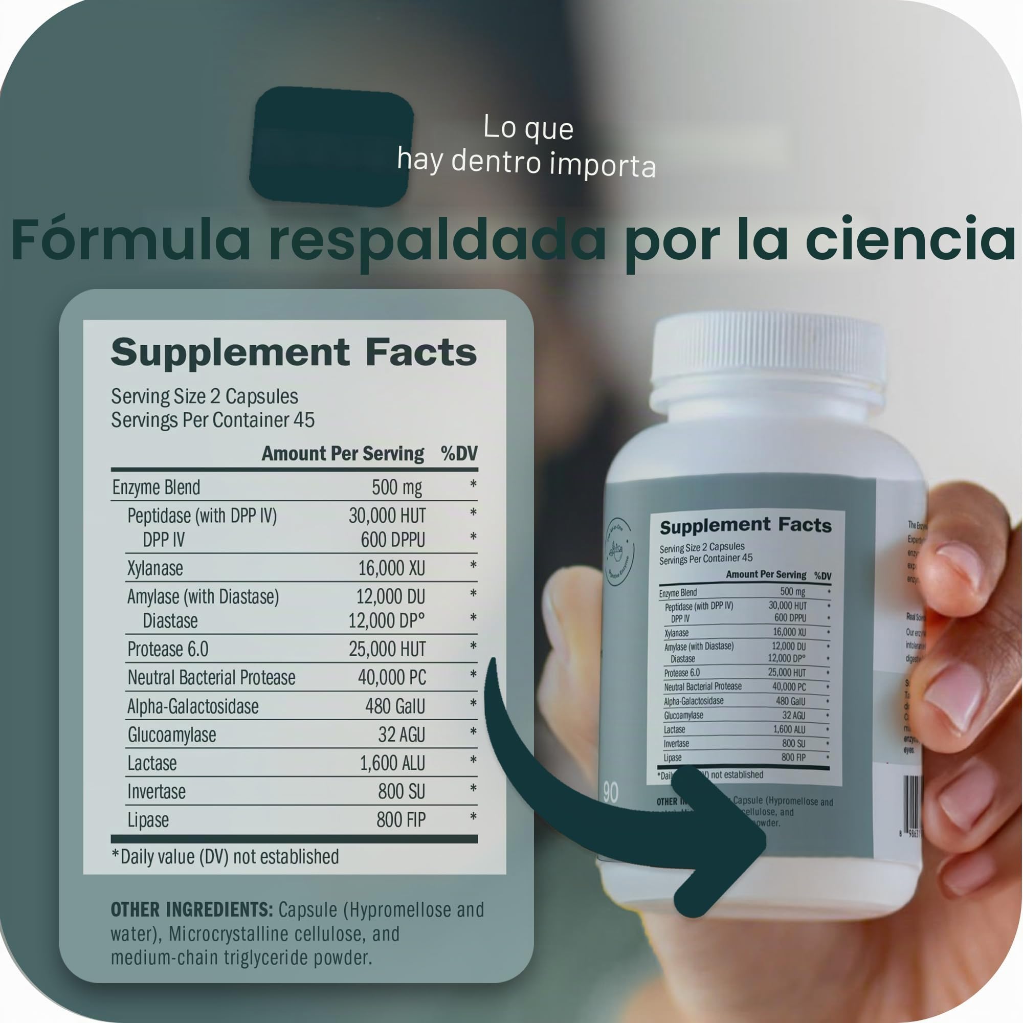 Houston Enzymes TriEnza - Suplemento enzimático digestivo para gluten, caseína, soja, proteínas, carbohidratos, grasas y polifenoles - Enzimas digestivas para mujeres y hombres (60 cápsulas)