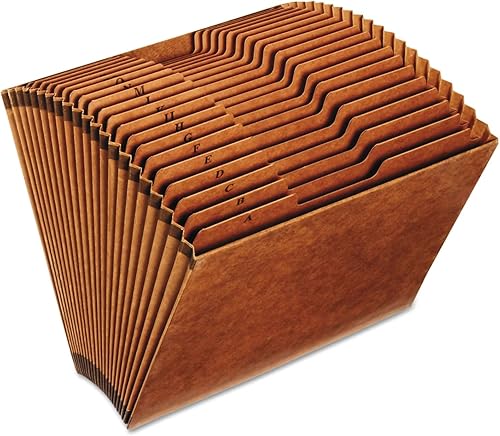 1InTheOffice Carpeta de archivos expandible A-Z, organizador de archivos alfabético, organizador de archivos de acordeón, carpeta de archivos