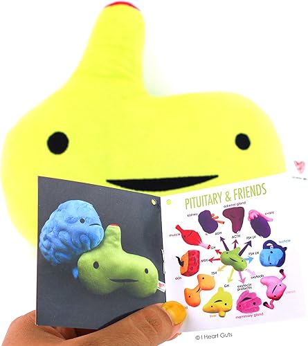 Miniatura 5 de I Heart Guts Peluche de glándula pituitaria – Ain't Life Gland? – Regalo de 10.5 pulgadas para endocrinología, Cushing, Get Well, peluche de peluche