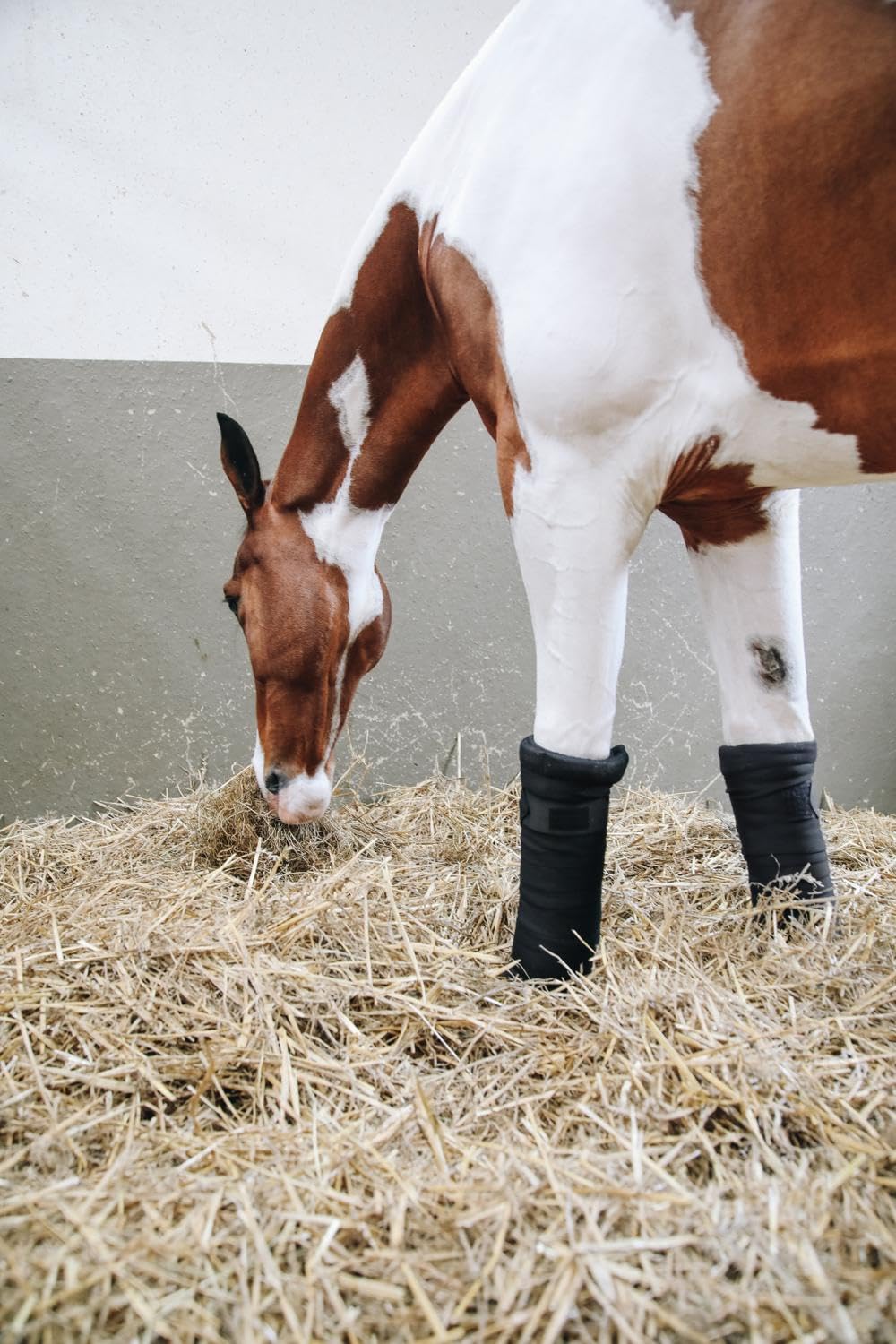 Kentucky Bandes de Repos Repellent Noir