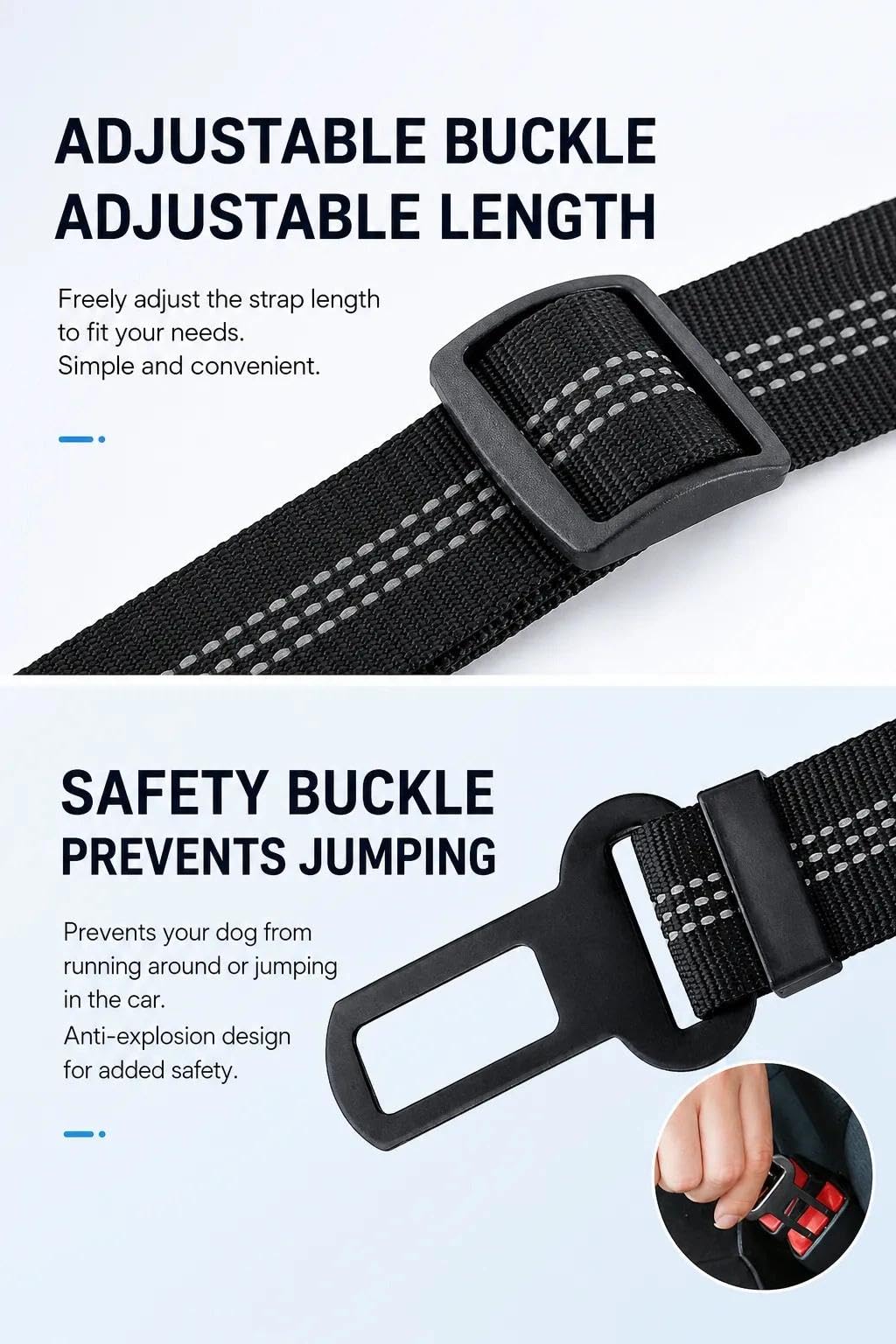 View 6