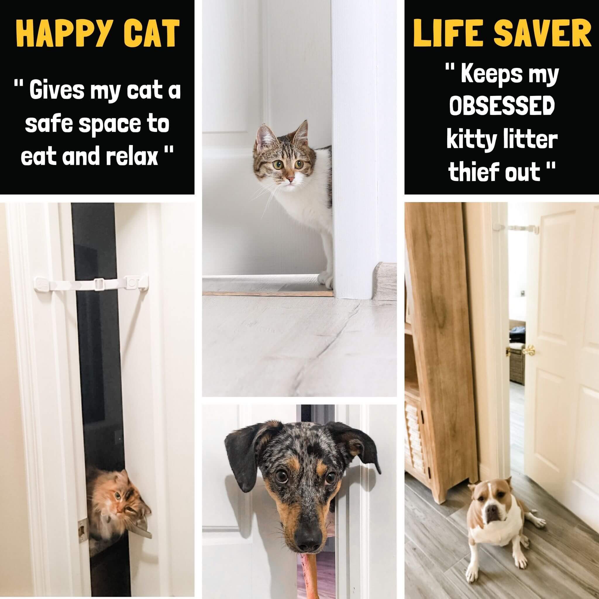 Buy Door Buddy Door Latch Plus Door Stopper. Keep Dog Out of Litter Box