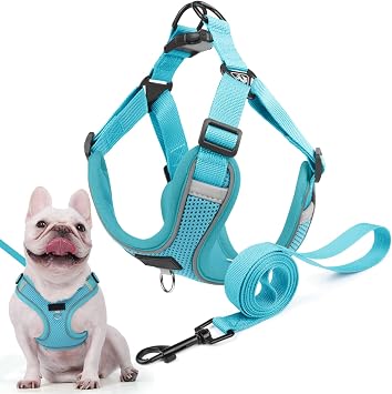 Dog Harness and Lead Set for Small and Medium Dogs, Reflective No Pull Dog Harness with Comfort Padding, Breathable Adjustable Puppy Vest Harness for Pet Walking, Hiking, Training Lake Blue, S
