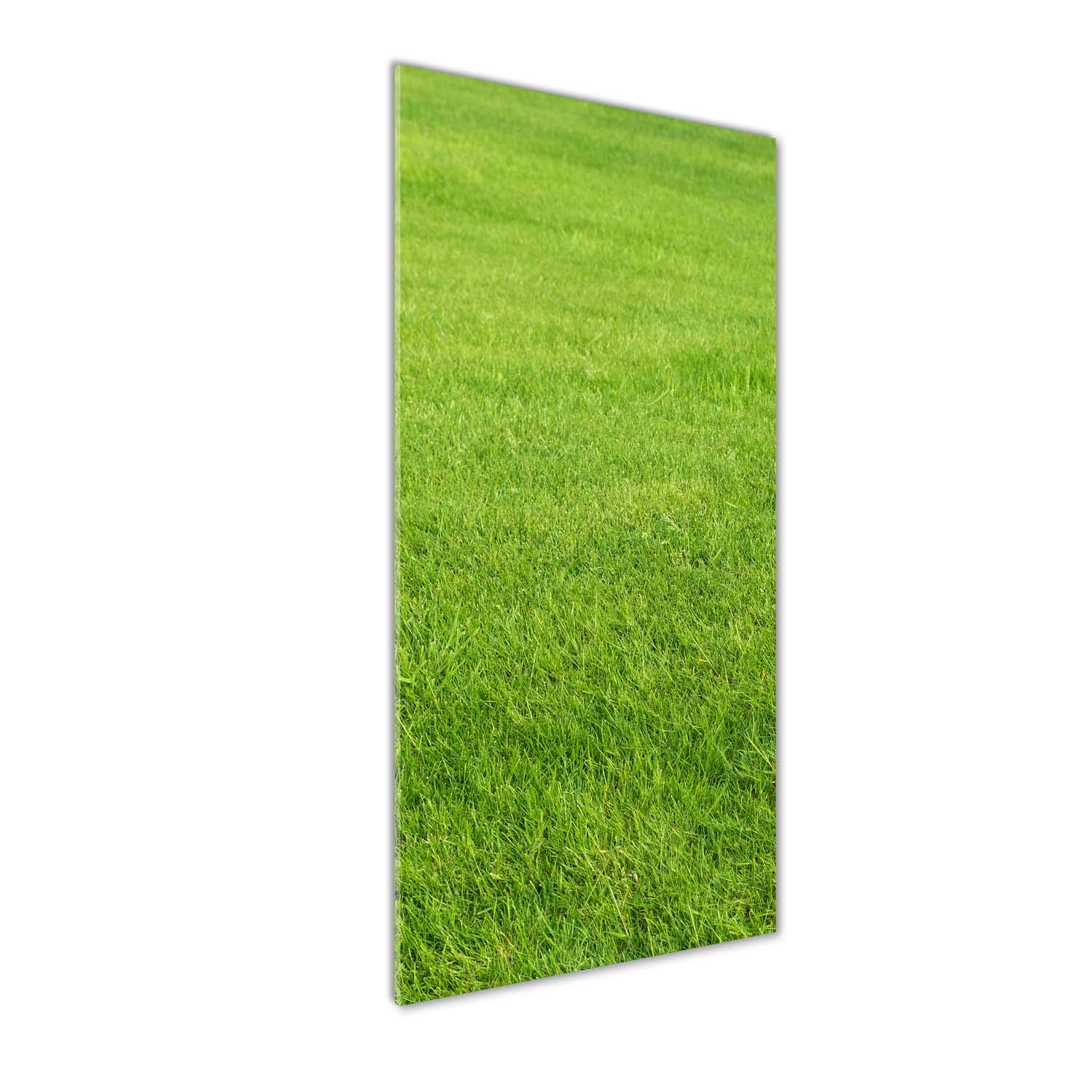 Impression sur verre acrylique Tulup 50x125 tableau de qualité premium paysage herbe verte