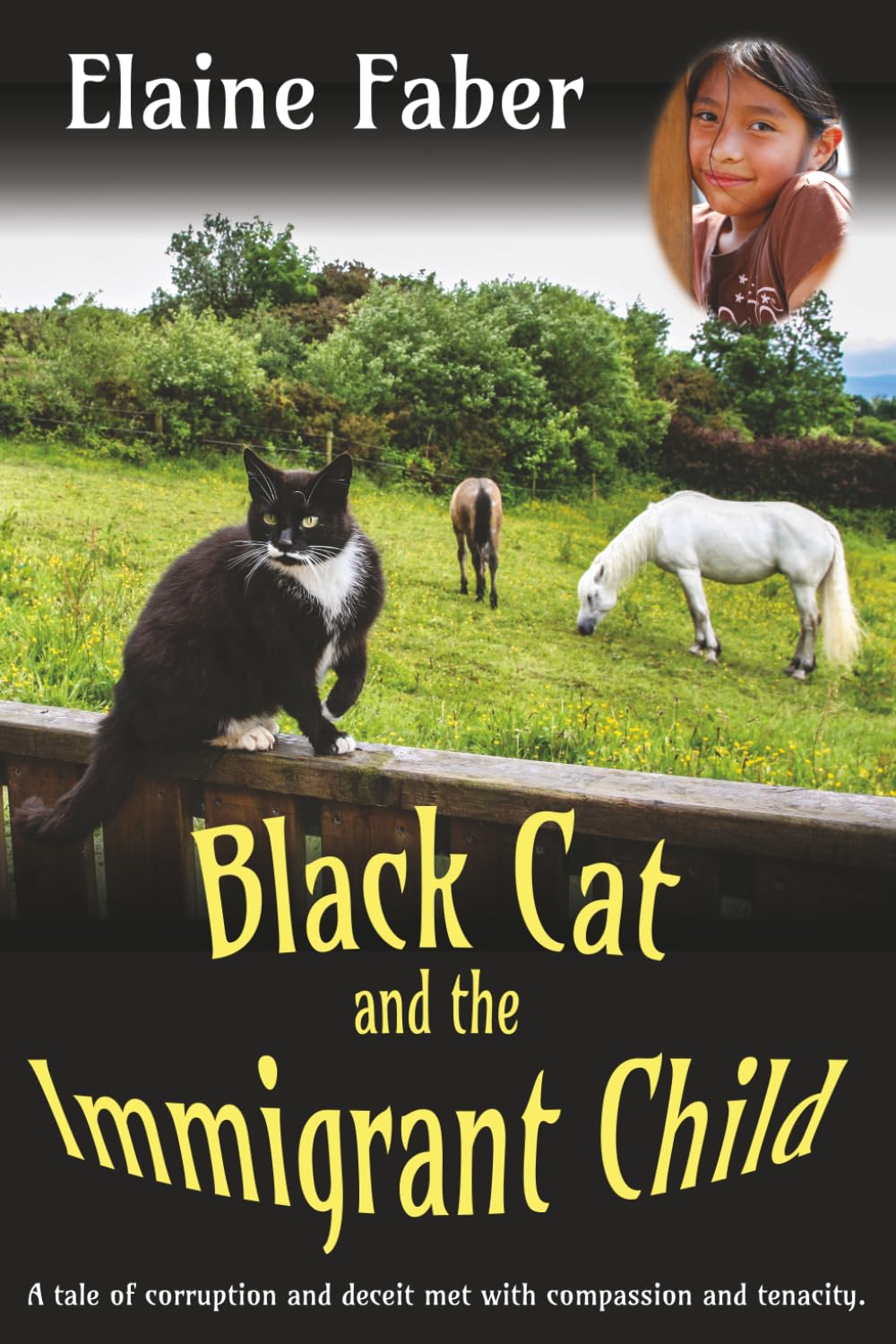 Black Cat and the Immigrant Child: A tale of corruption and deceit met with compassion and tenacity. (Black Cat Mysteries)