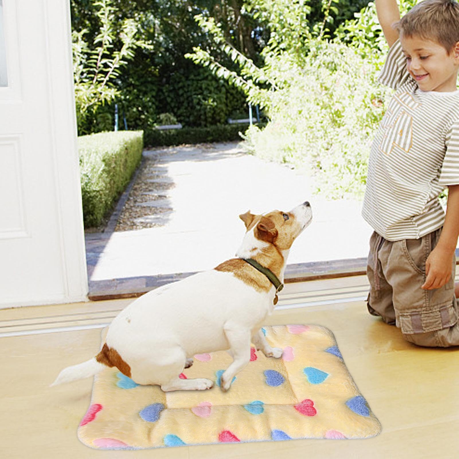 Manta calmante para mascotas, cálida, manta para gatos lavable a máquina, cojín para perros para perros, cachorros, gatos, mantas para cachorros y gatos de interior para gatos y perros, cama para