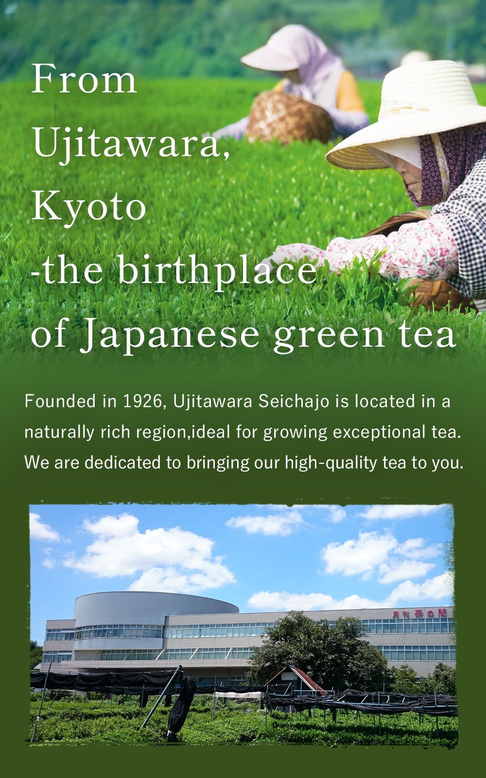 Kyoto Ujitawara-Seichajyo Uji Matcha Kyo-no-hana Ceremonial Grade Matcha Powder from Kyoto Made in Japan 1 4oz 40g Japanese — view 7