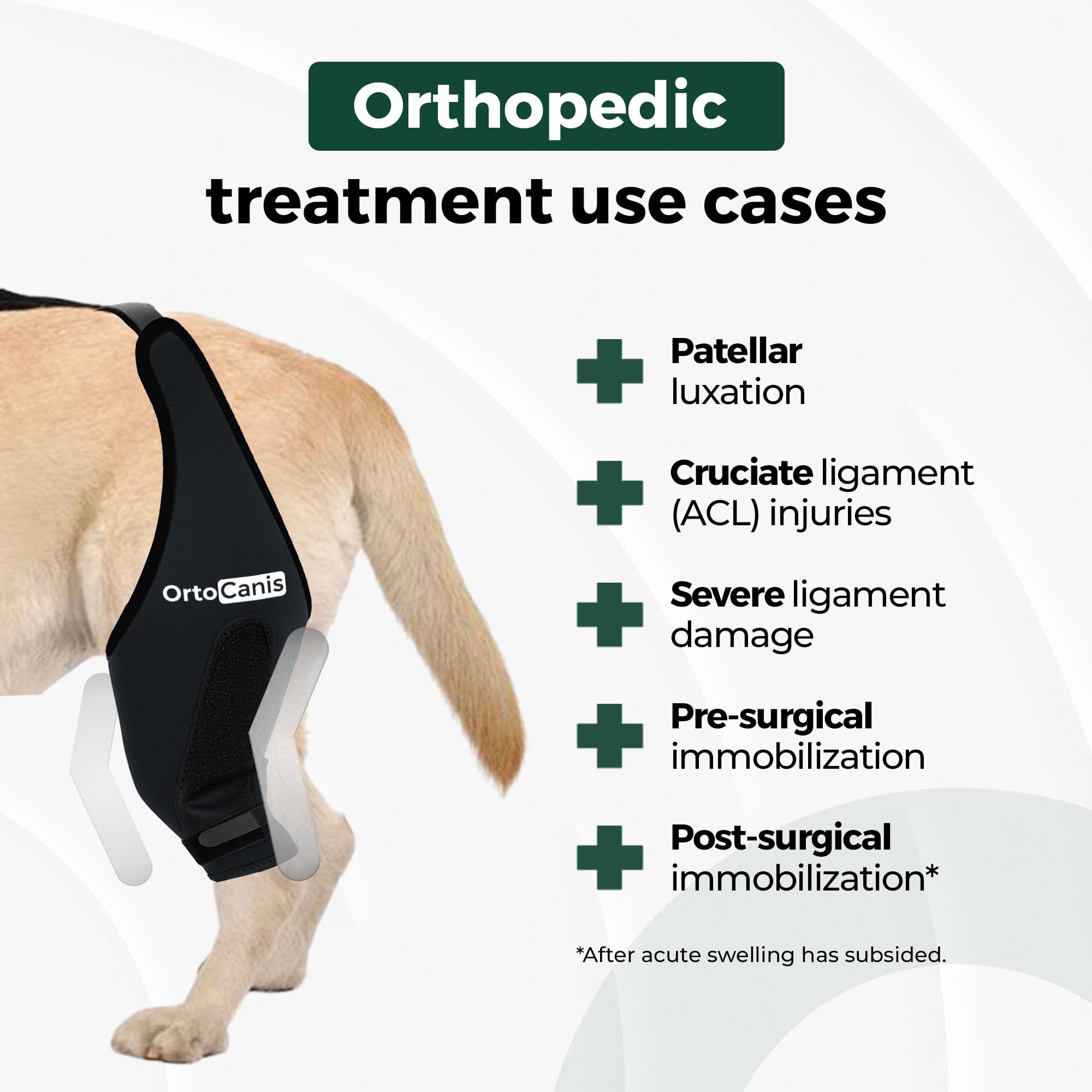 Ortocanis - Immobilizer kolana dla psa - Nakolanniki dla prawej łapy - Zerwanie więzadeł, zwichnięcie rzepki, regeneracja pooperacyjna - Specjalny neopren - Rozmiar: XXS 20-22 cm