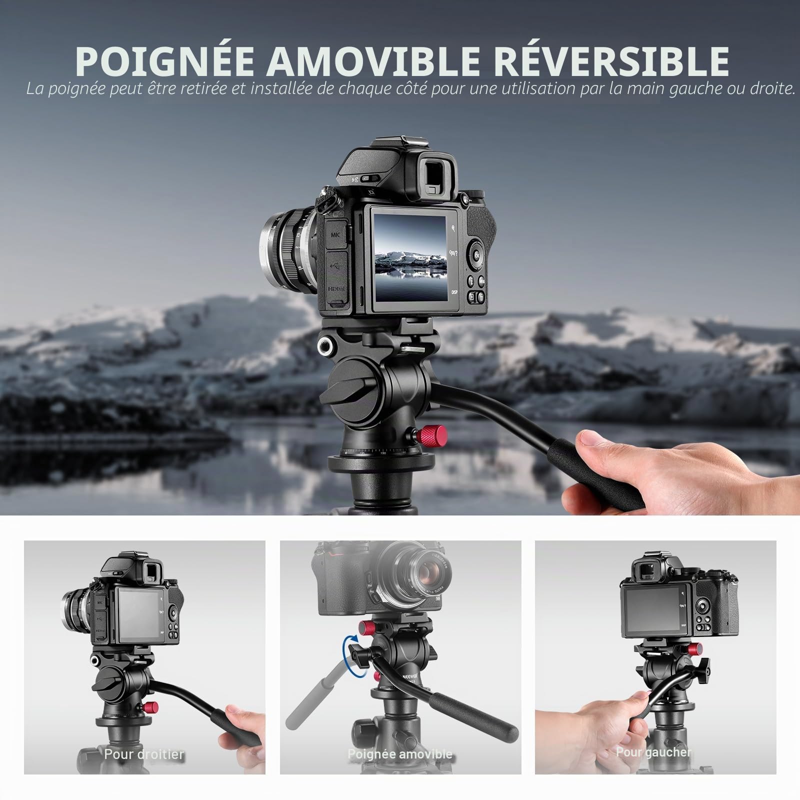 NEEWER Tête de Trépied Fluide GM23, Tête Inclinable Panoramique en Alliage d'Aluminium 43mm, Base Graduée, Charge Max 3kg, pour Caméscope Compact DSLR
