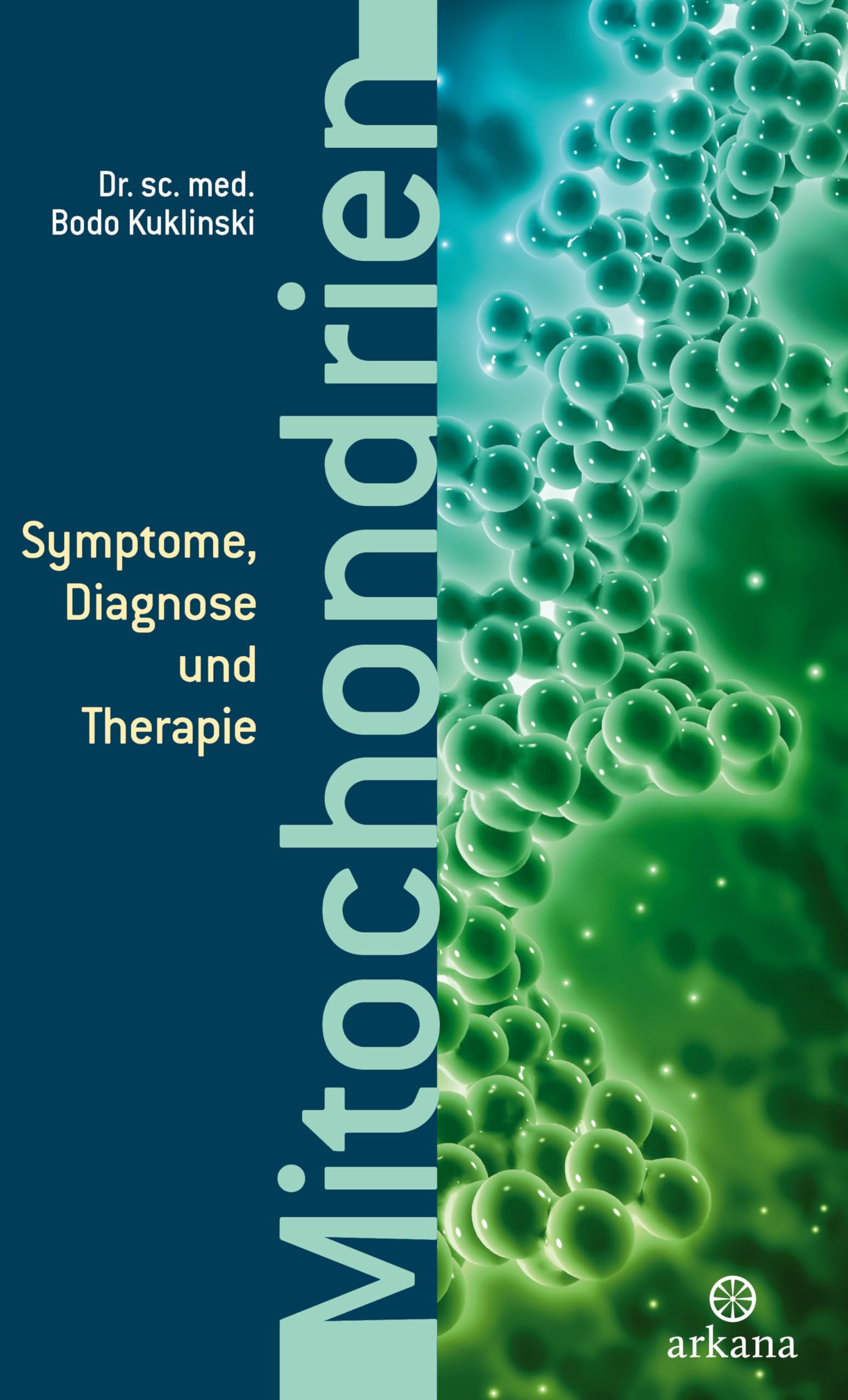 Mitochondrien: Symptome, Diagnose und Therapie