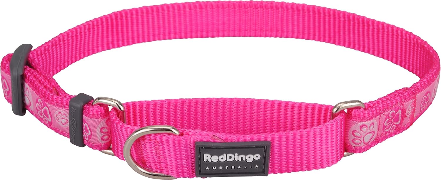 Red Dingo Martingale Paw Impressions Collar, Large, Hot Pink
