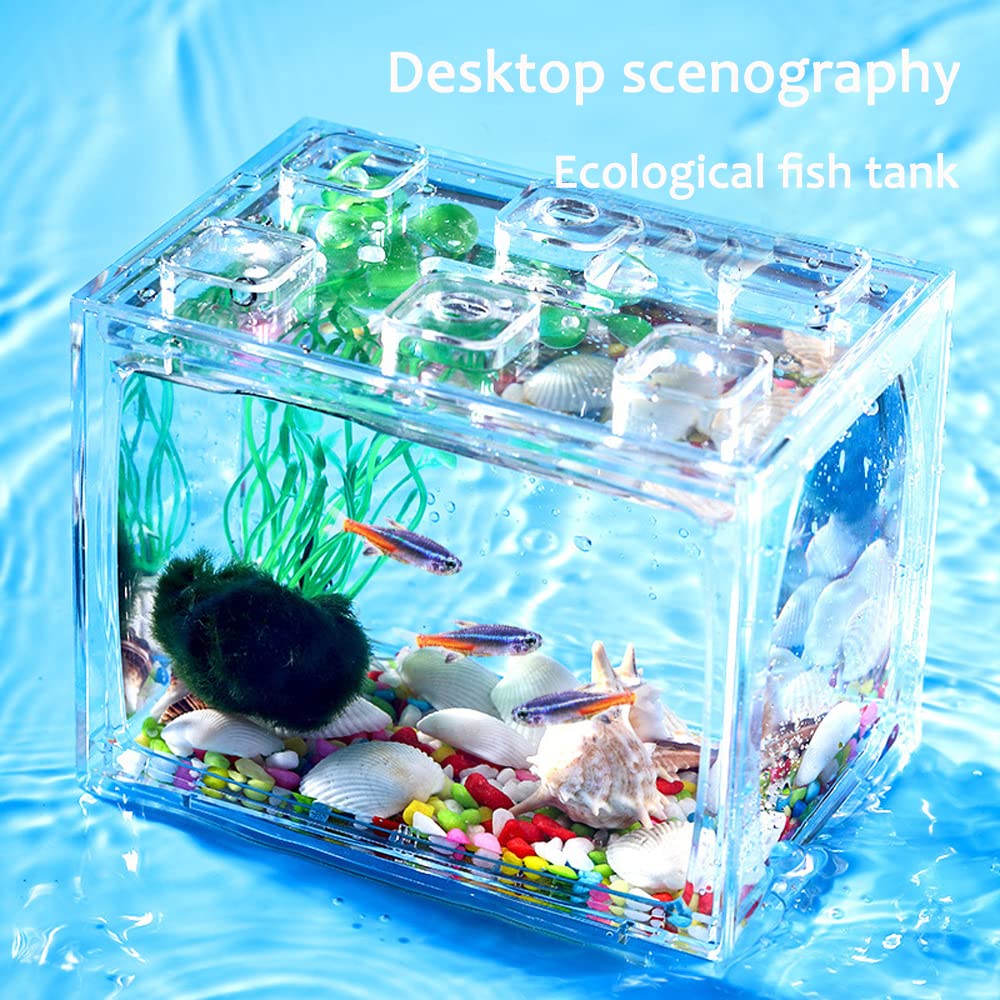 NeoStyle Betta Fish Tank Accessories,Deep-Sea Shells,Small Transparent Fish Bowl Row Aquarium Stackable Cube Hexagon Tank(Fish Tank Accessories, Deep-Sea Shells*1Bag) : Amazon.in: Pet Supplies NeoStyle Betta Fish Tank Accessories,Deep-Sea Shells,Small Transparent Fish Bowl Row Aquarium Stackable Cube Hexagon Tank(Fish Tank Accessories, Deep-Sea Shells*1Bag) : Amazon.in: Pet Supplies