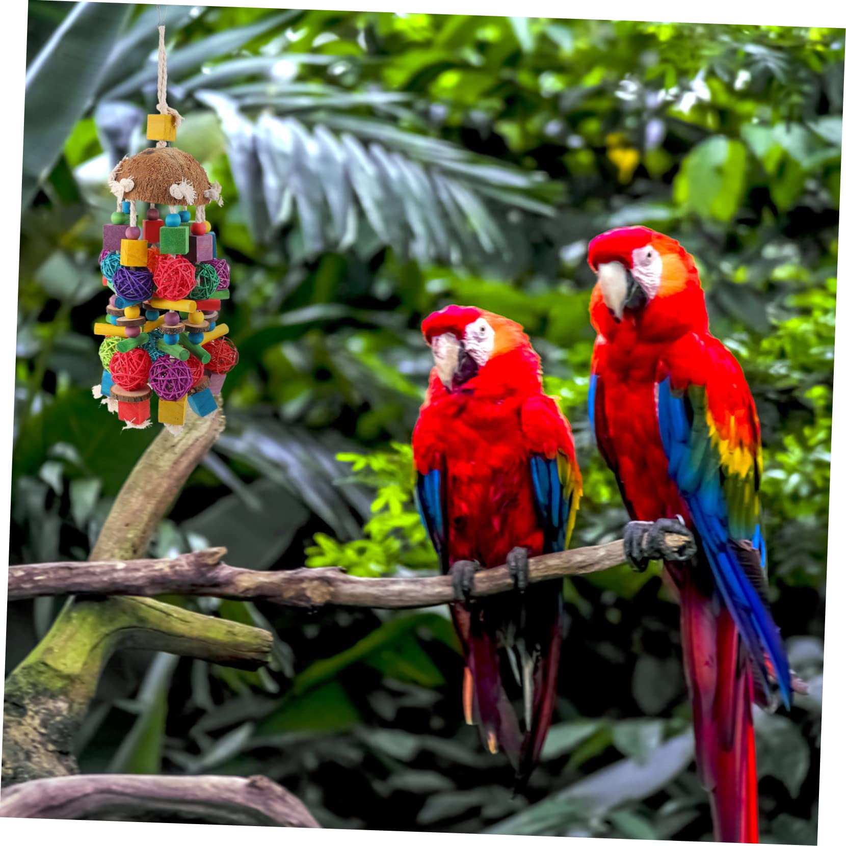 1stücke Papageien Spielzeug Kokosnuss Und Hängendes Kauspielzeug Für Vögel Für Wellensittiche Nymphensittiche Und Andere Kleine Vögel Käfig Zubehör