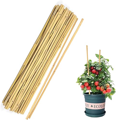 40 varillas de bambú natural para plantas de interior y exterior, estacas de soporte de plantas de 16 pulgadas para tomate, frijoles, plantas en