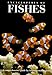Encyclopedia of Fishes (Natural World)