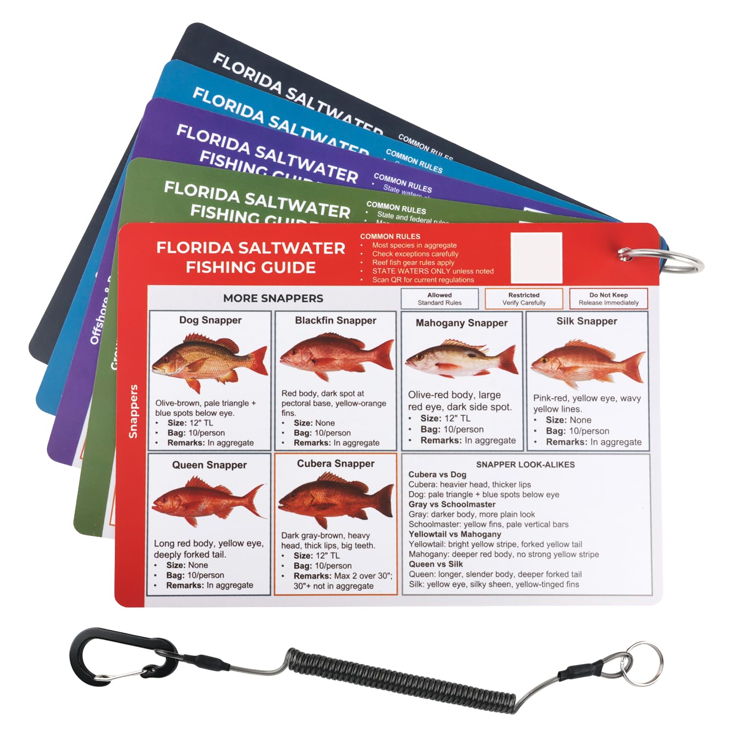 Florida Saltwater Fishing Guide Cards - Fish, Shark ID, FWC Rules & Limits | 5 Double-Sided PVC Salt Water Fishing Gear