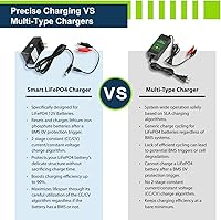 Vista 7 de ExpertPower Batería de litio LiFePO4 de 12 V 12 Ah, cargador inteligente de 12 V 1 A DC 5521 macho y clips de cocodrilo Coche de juguete